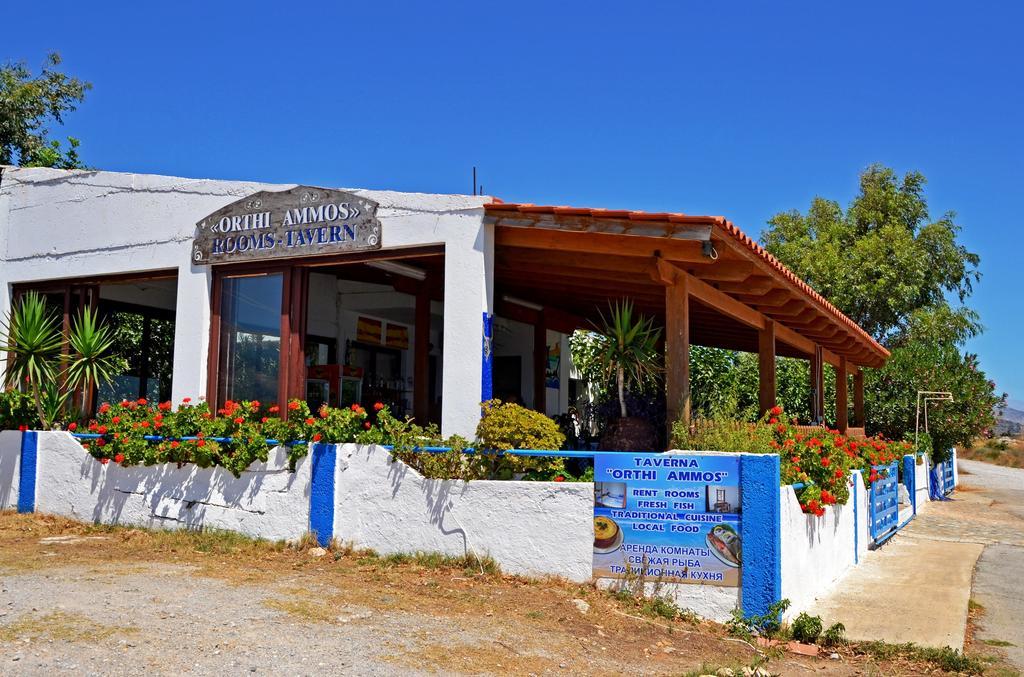 Hotel Orthi Ammos Frangokastello Esterno foto