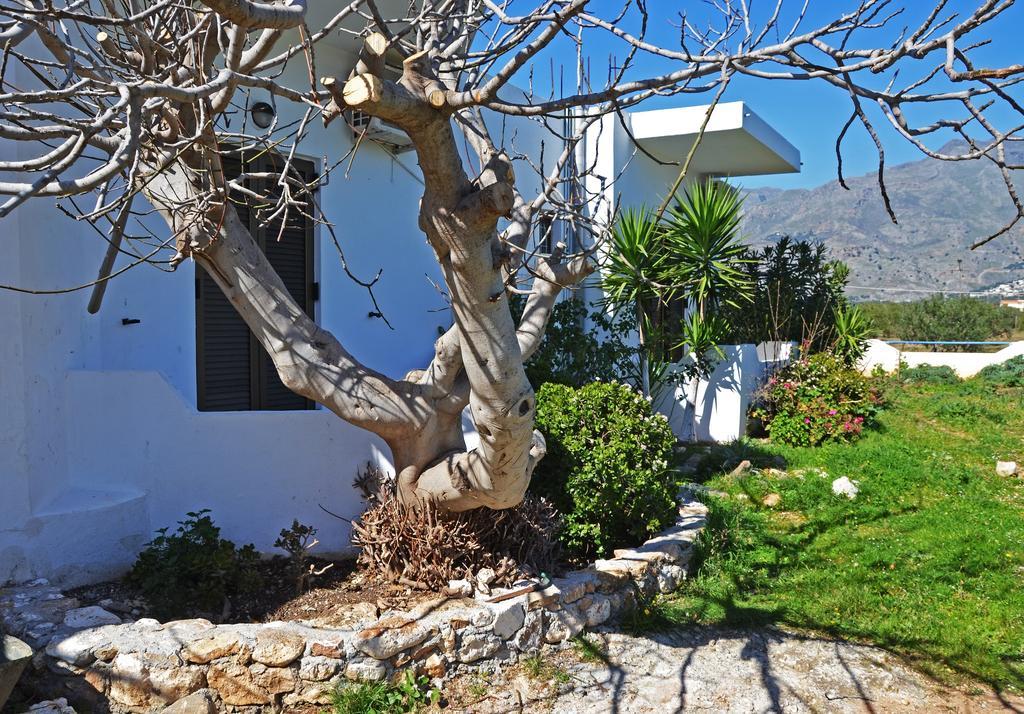 Hotel Orthi Ammos Frangokastello Esterno foto